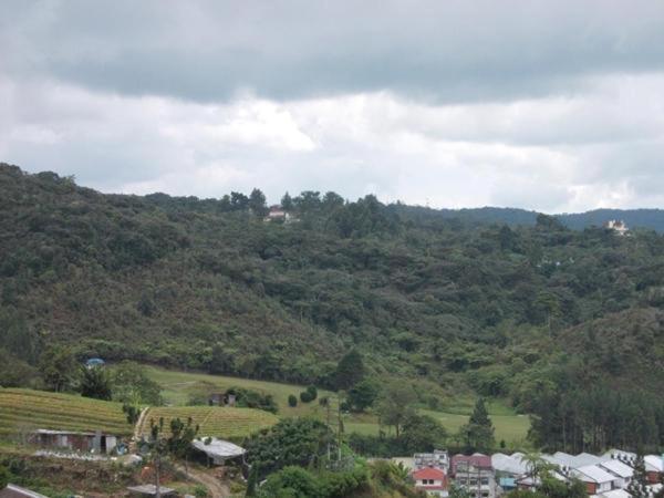 Hotel Chua Gin Cameron Highlands Exterior photo